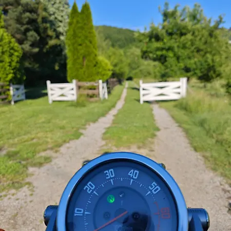 Cvjetna Oaza Villa